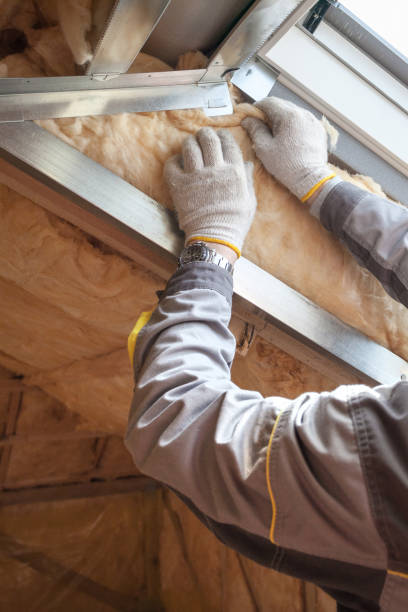 Insulation Repair Services in Nephi, UT