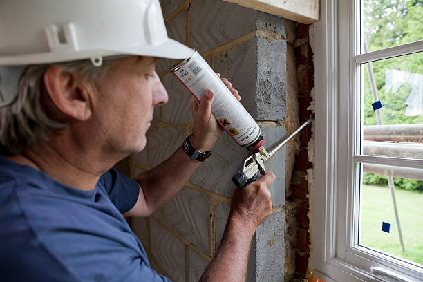 Best Home Insulation Services  in Nephi, UT